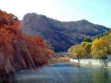 新澳天天开奖资料大全旅游团，召唤萌物